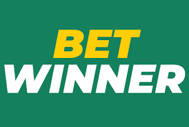 Exploring the BetWinner Platform An In-Depth Guide to Betting and Gaming