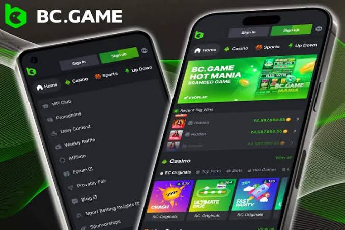 The Fascinating World of Mirror BC.Game