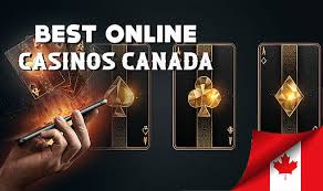 Top Casino Websites Your Guide to Winning Big Online
