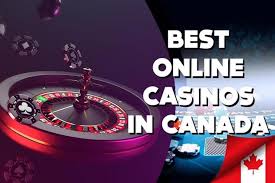 Top Rated Online Casinos Your Ultimate Guide to Online Gaming