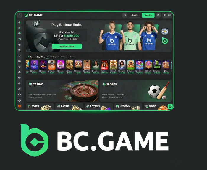 Discover Excitement at BC.Game Casino and Sportsbook