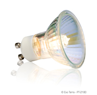 halogen light bulb spot