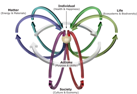 Symbiosis in Development