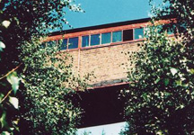 abandoned factory with trees bridge