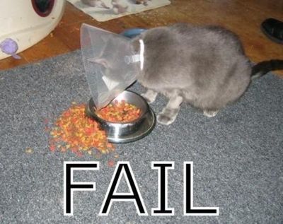 http://www.except.nl/overig/uploads/kittens/fail.jpg